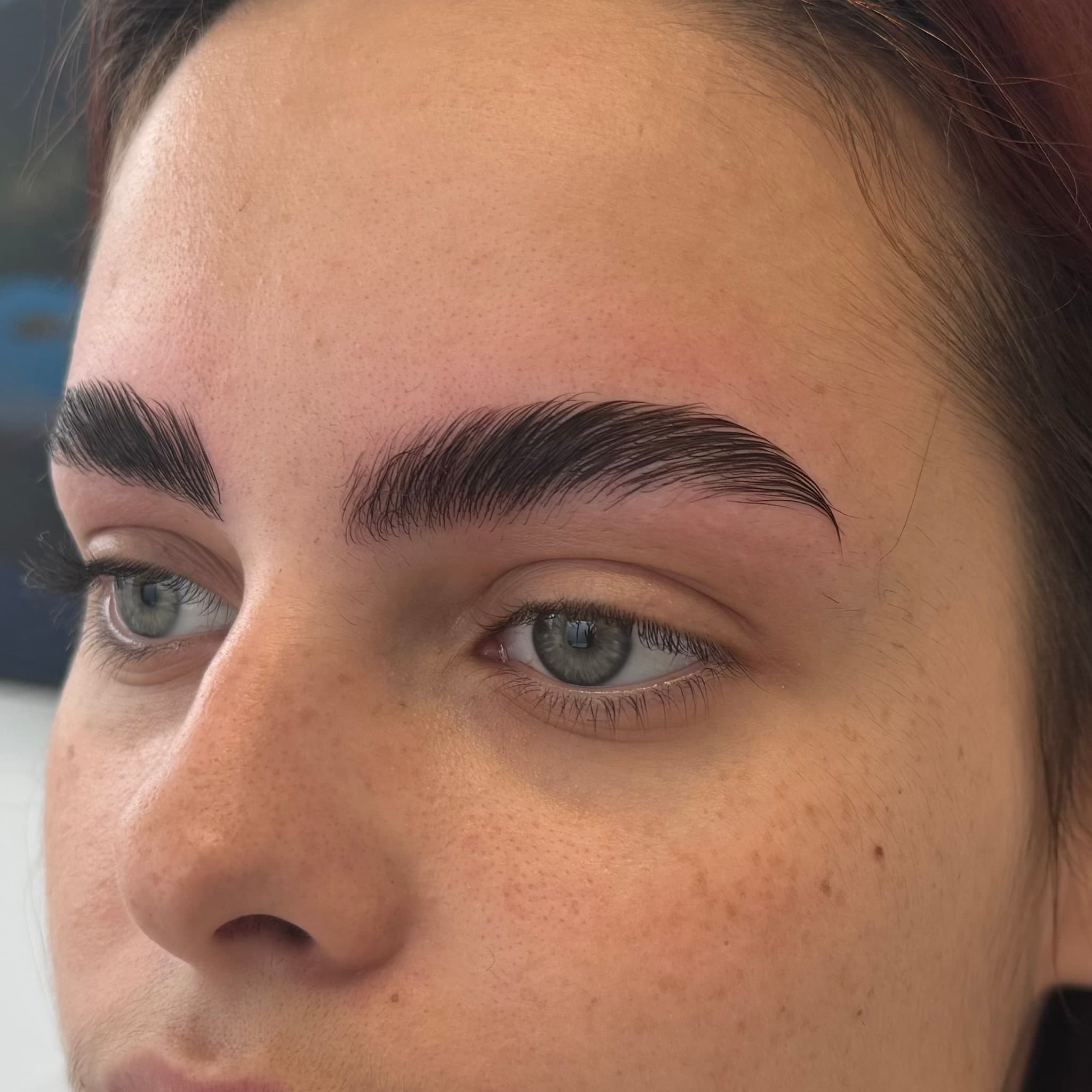 Browlift à Dijon par Habiba Med avec effet peigné vertical, sourcils naturellement redressés et nets