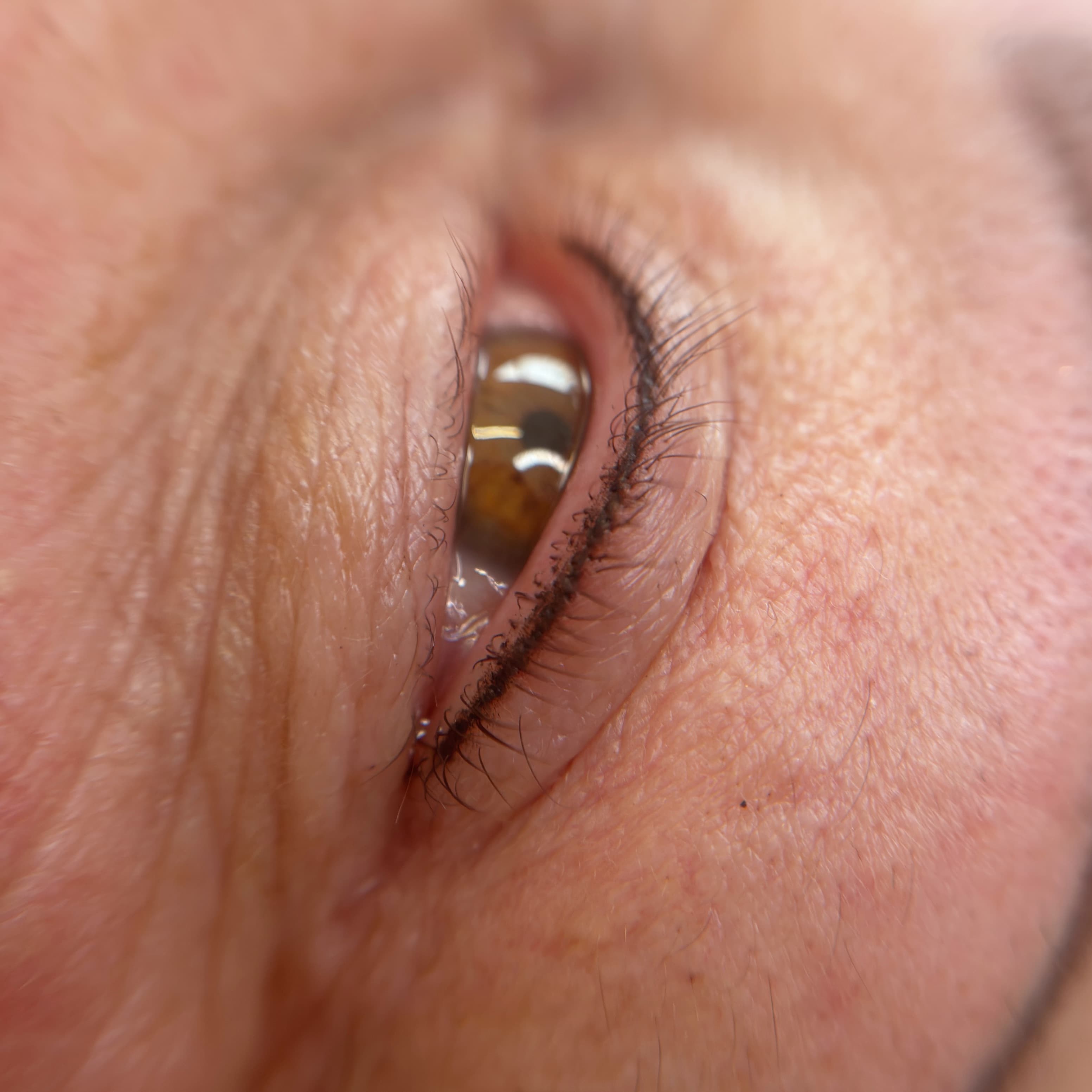 Tatouage semi-permanent ras de cils haut à Dijon, maquillage permanent naturel réalisé par Habiba Med